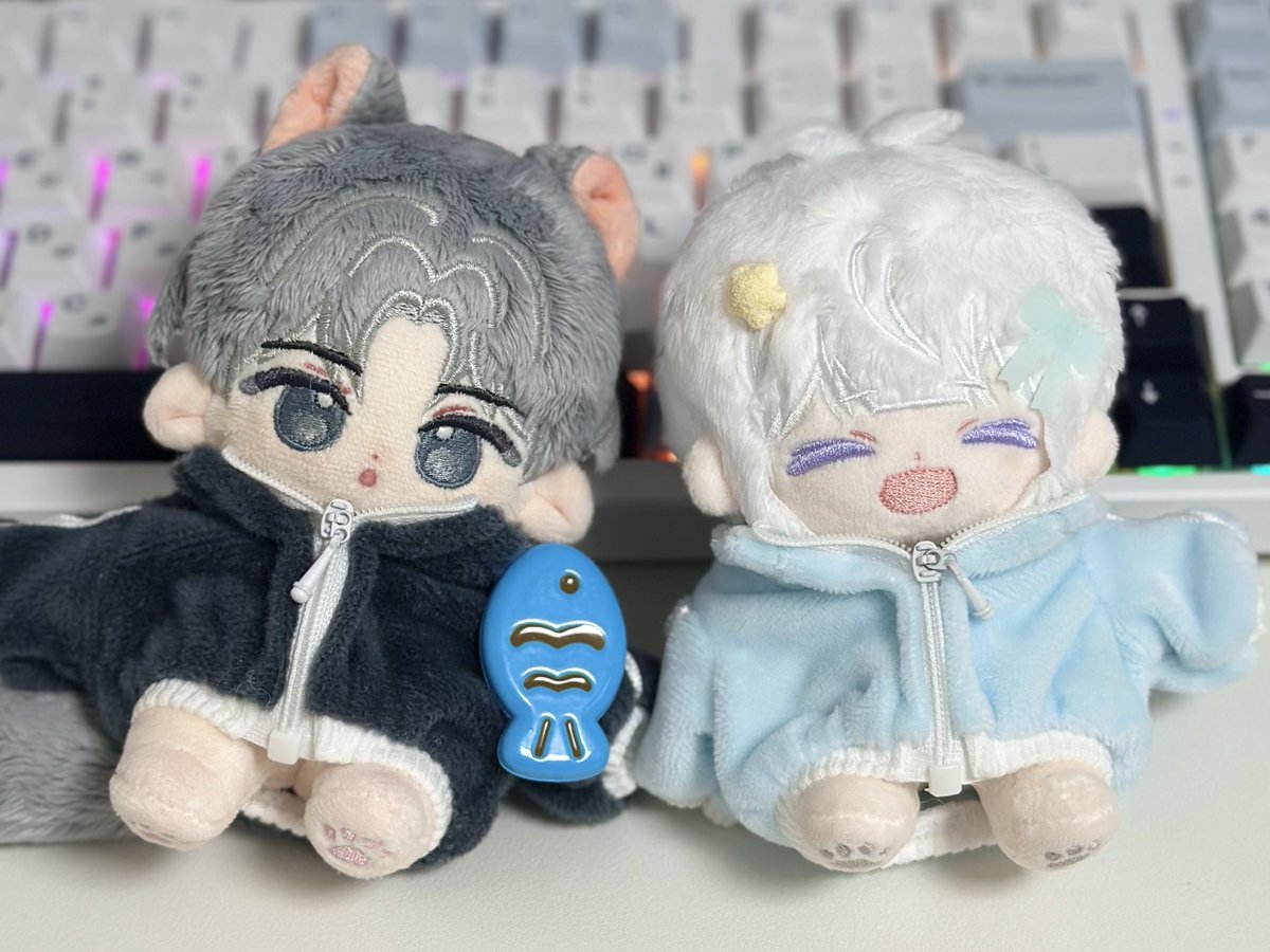 hwaaa_r's tweet photo. 우리집뉴바보들 https://t.co/kjXYXS3an3
