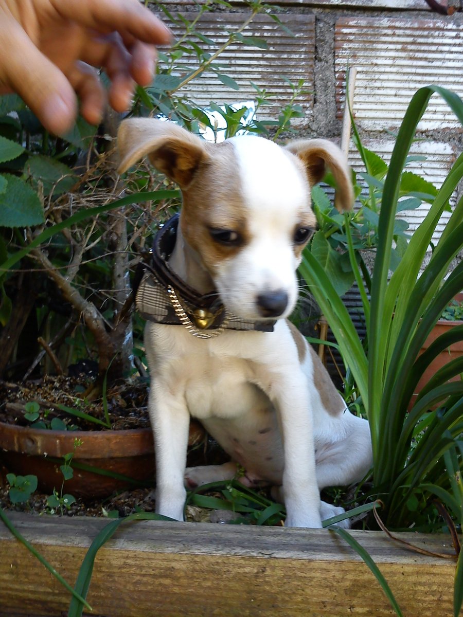 DraMezcaline's tweet image. #creativeresilience #designerstyles  Me siento orgullosa de mi pasado creativo y del apoyo que siempre he tenido por parte de mi familia .