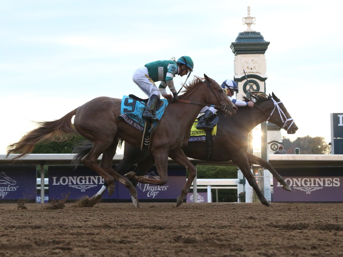 Breeders' Cup tweet media