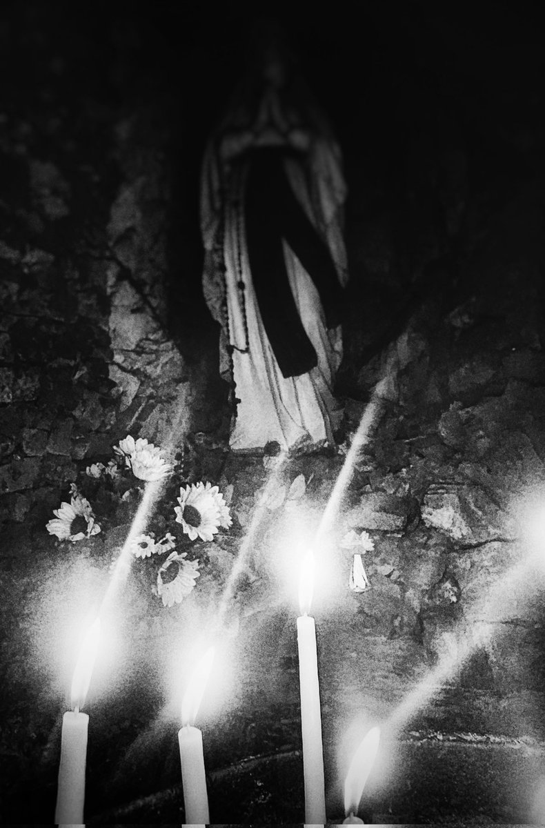 ᴍᴀɴᴏʟʏᴀ tweet media