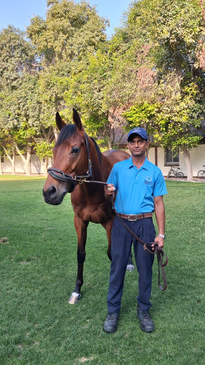 caroline kelly tweet media