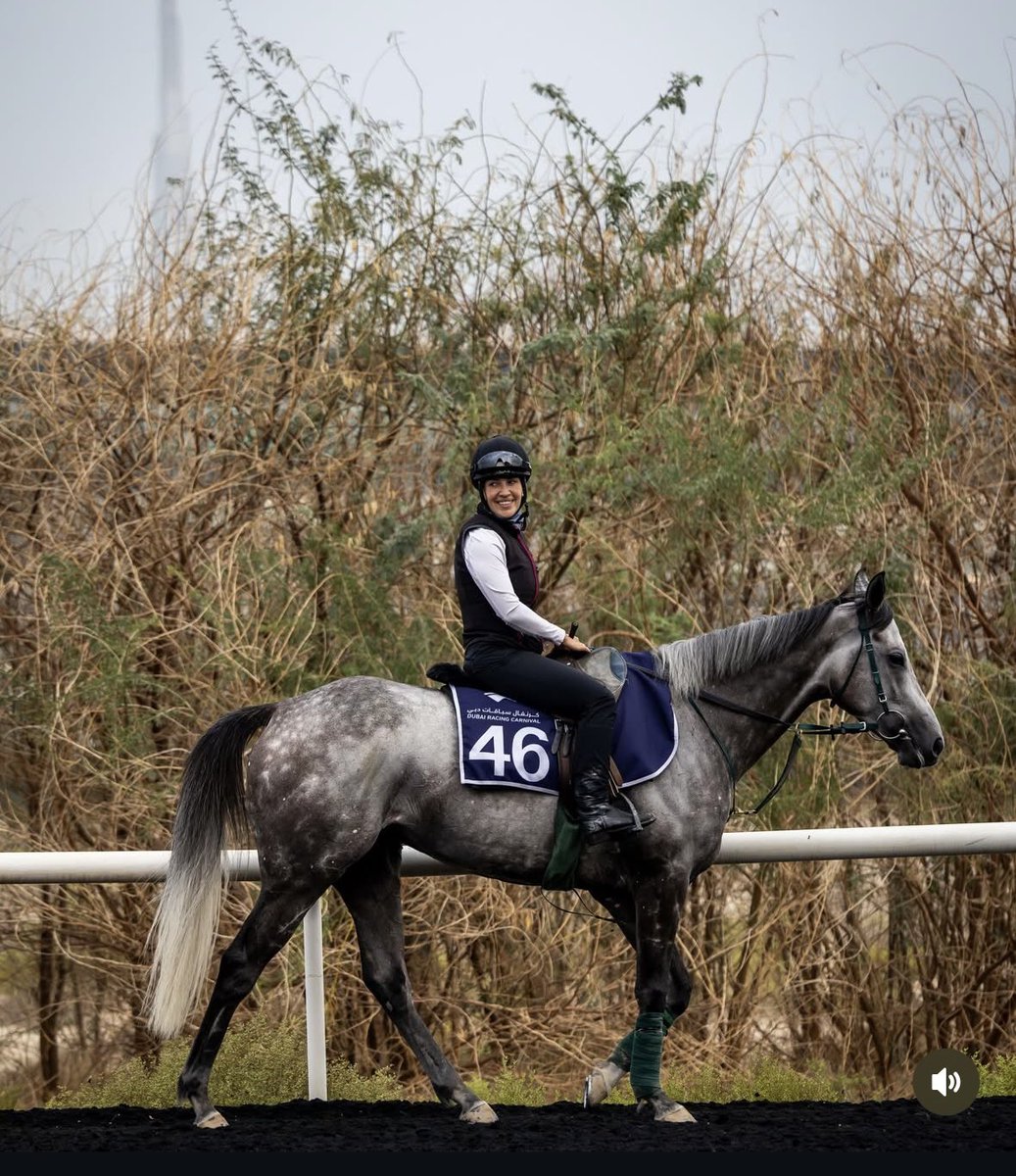 caroline kelly tweet media