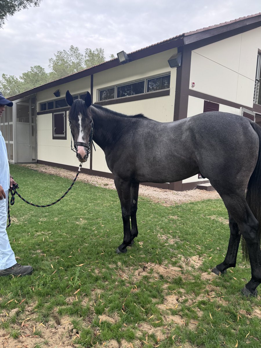 caroline kelly tweet media