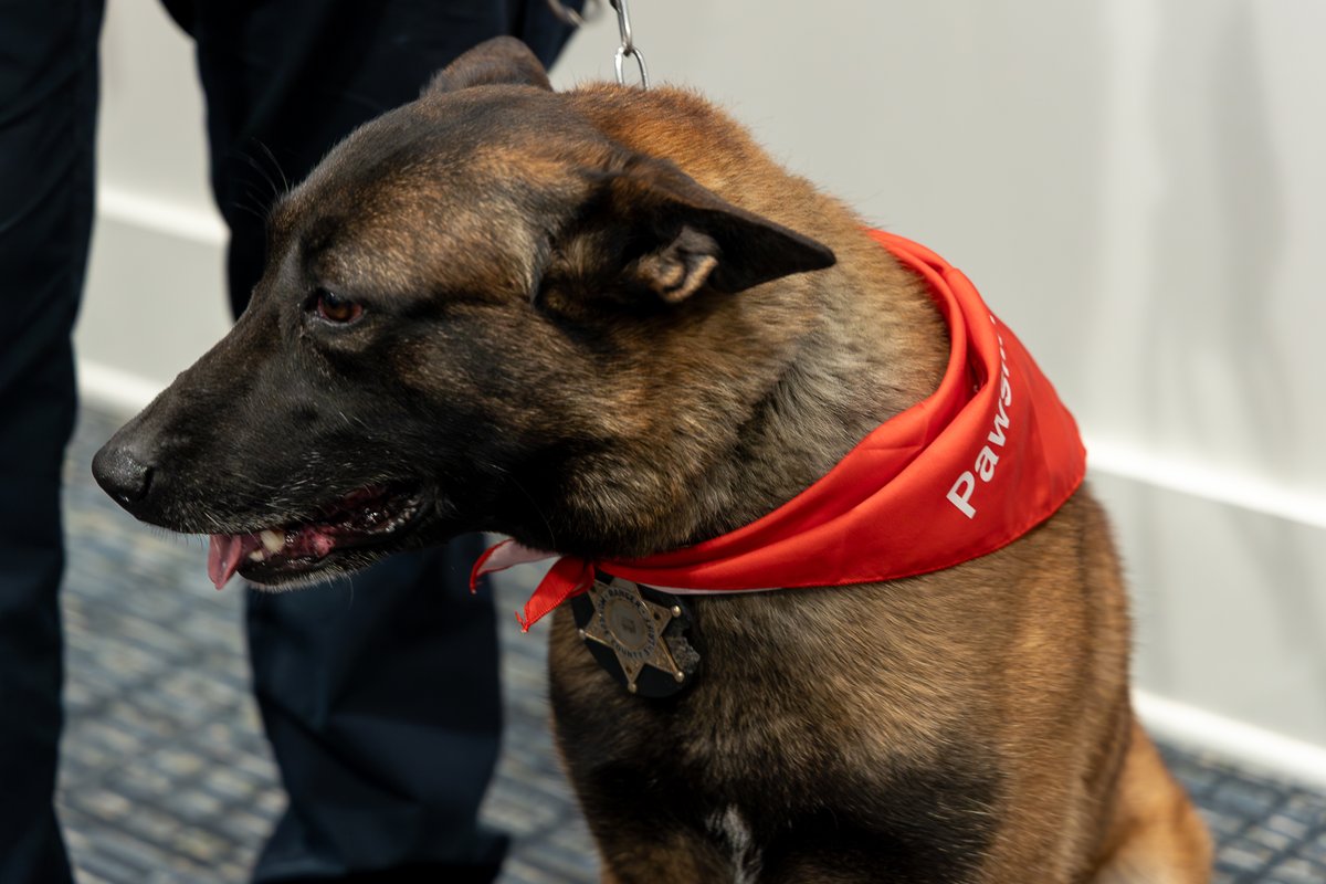 Monroe County Sheriff’s Office tweet media