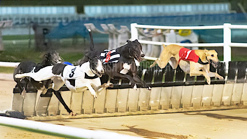 Mo Cara Racing tweet media