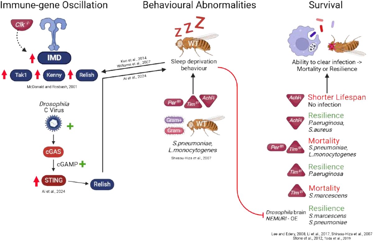 Genome Journal tweet media