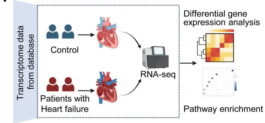 Circulation tweet media