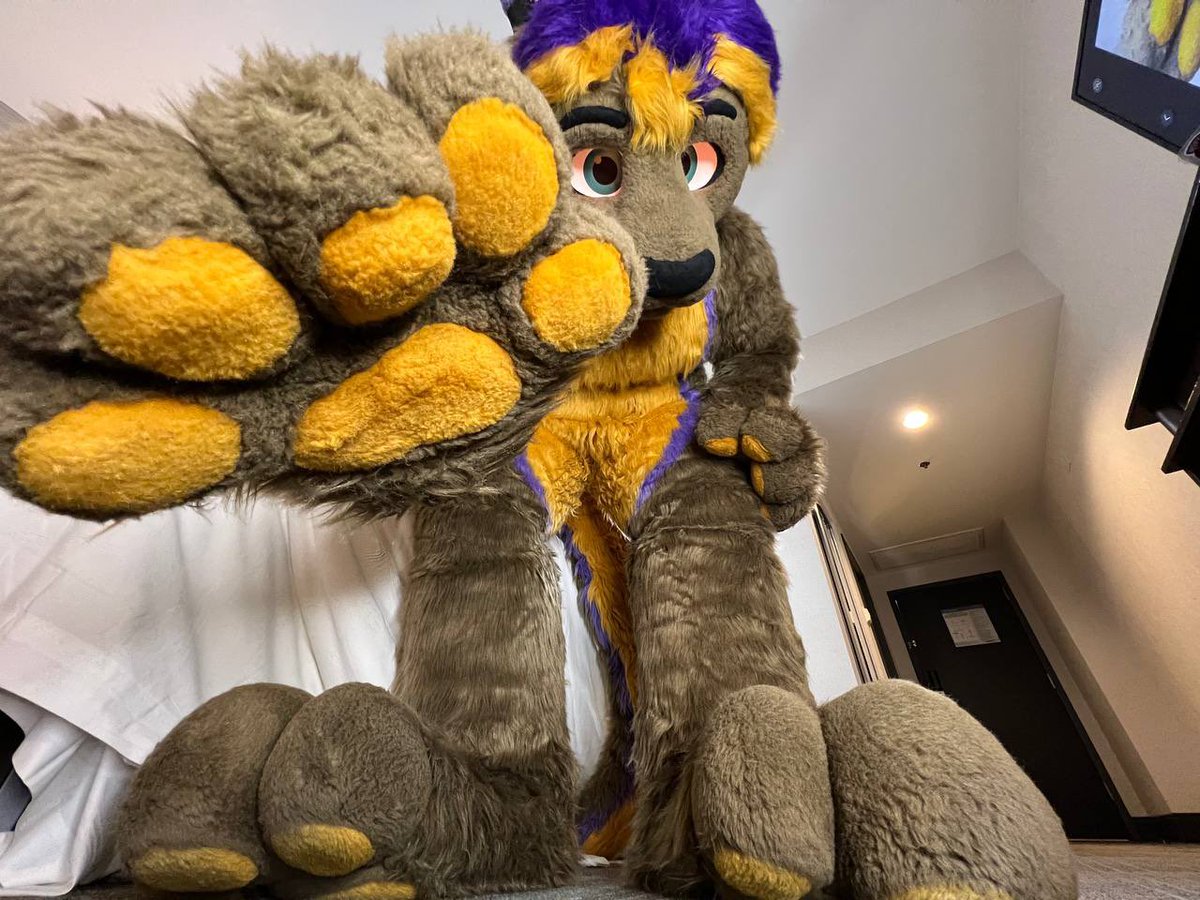 D R A K E 🧡✨ tweet media