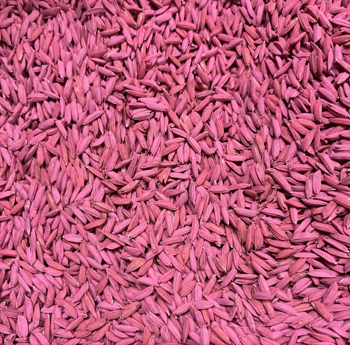 Jarrod Hardke tweet media