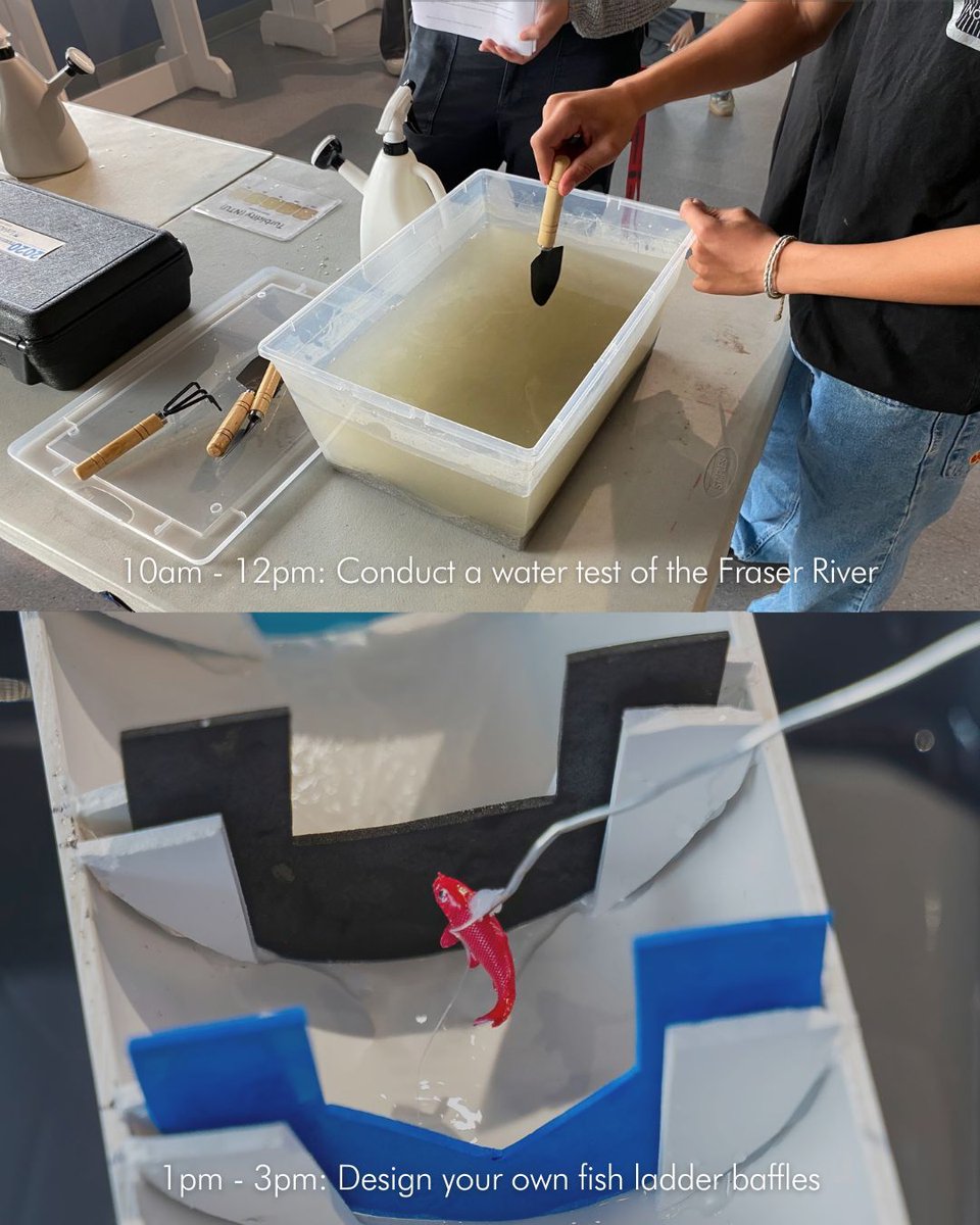 FraserRiverDiscovery tweet media