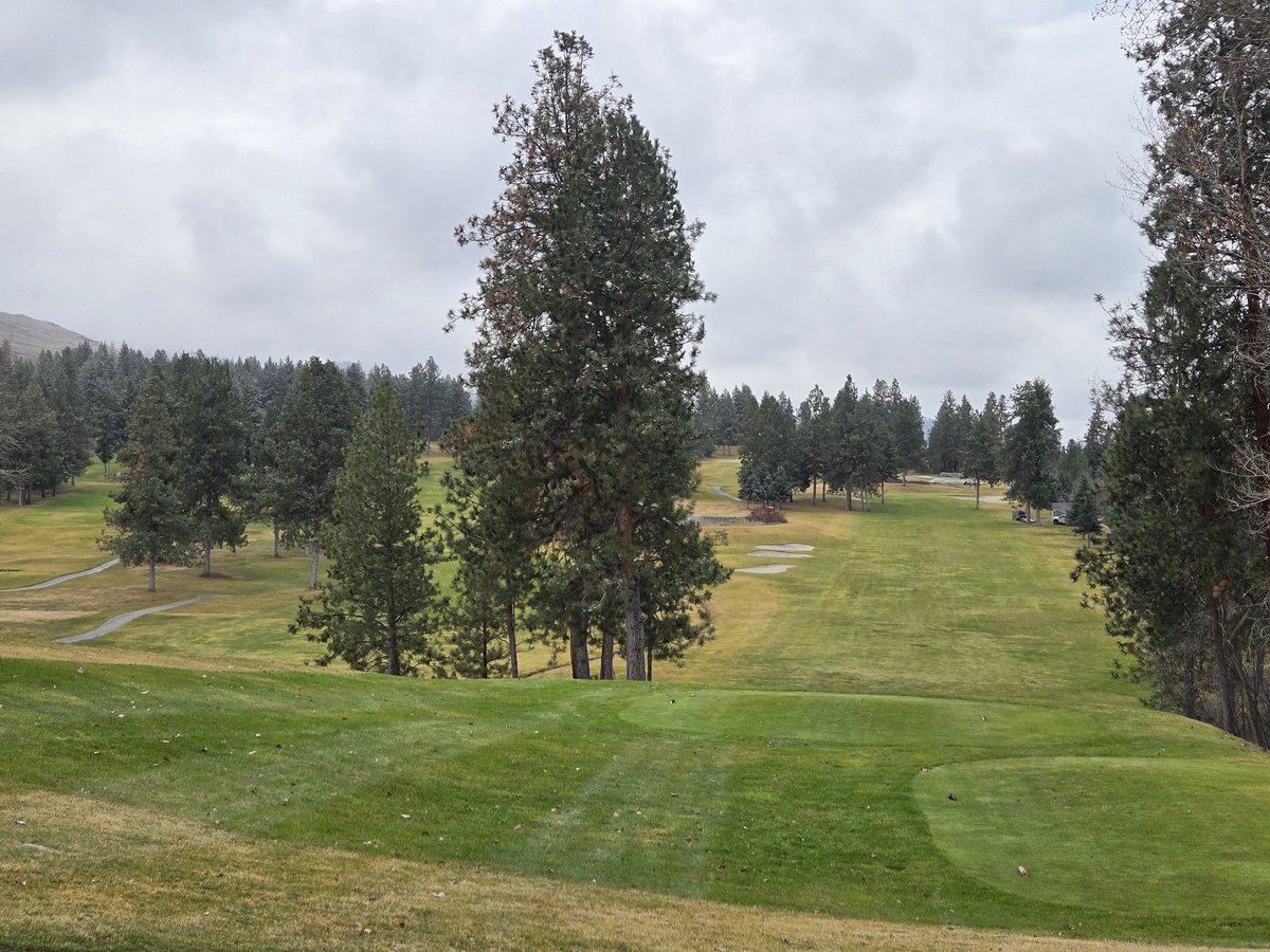 Greg Austin tweet media