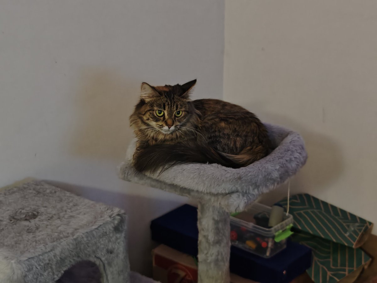 Дед Моксим tweet media