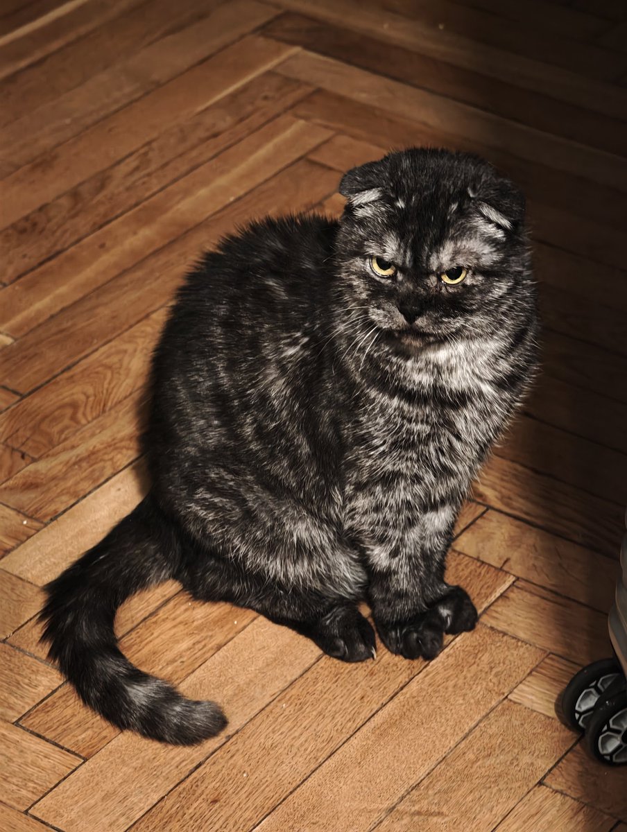 Дед Моксим tweet media