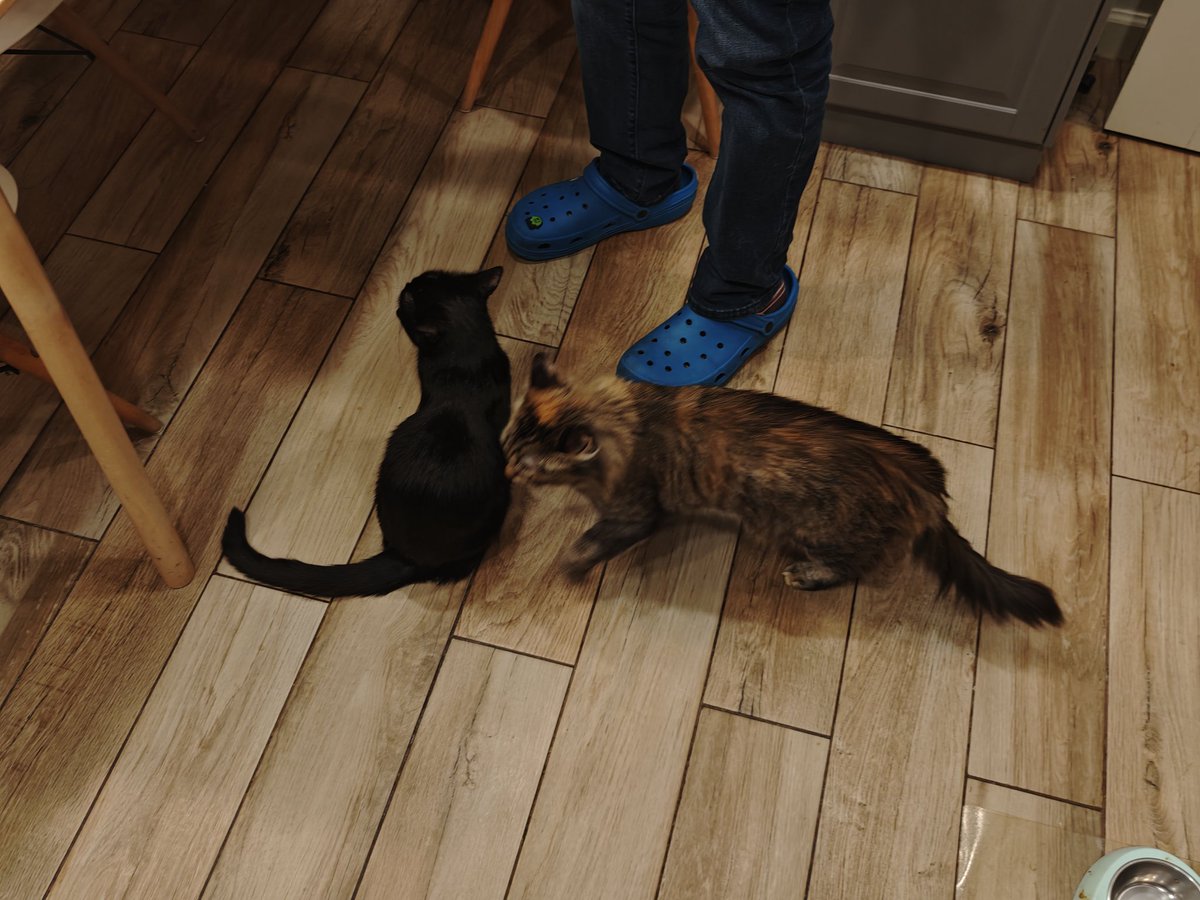 Дед Моксим tweet media