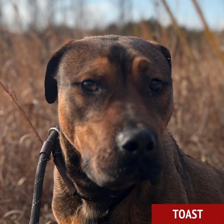 Fionaismybitch tweet media