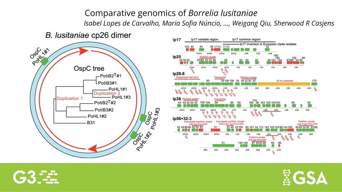 Genetics Society of America tweet media