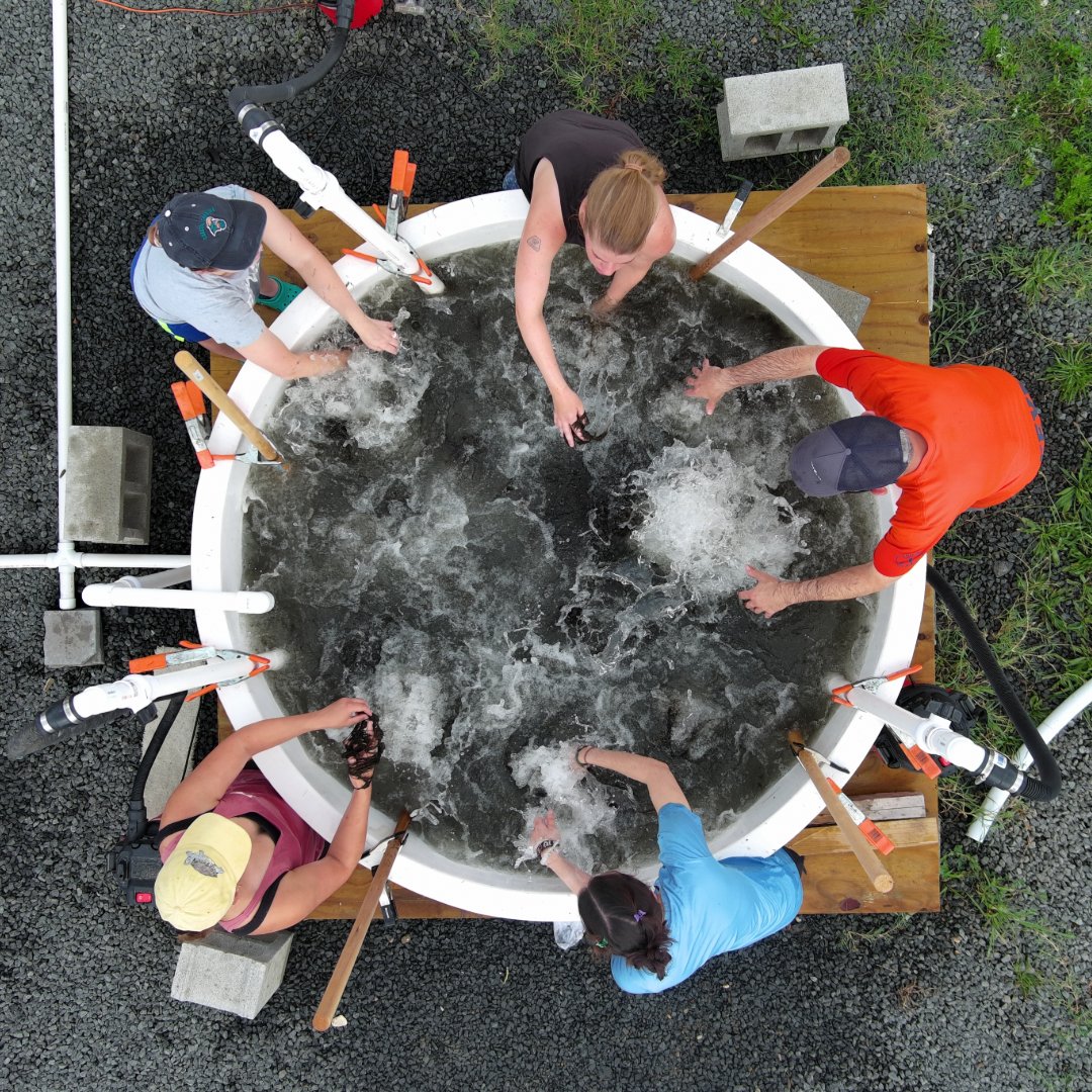 Delaware Sea Grant tweet media