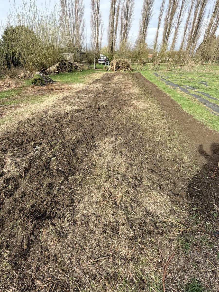 Jonathan Sheppard tweet media