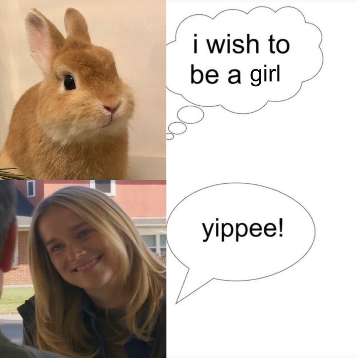 • quiet • tweet media