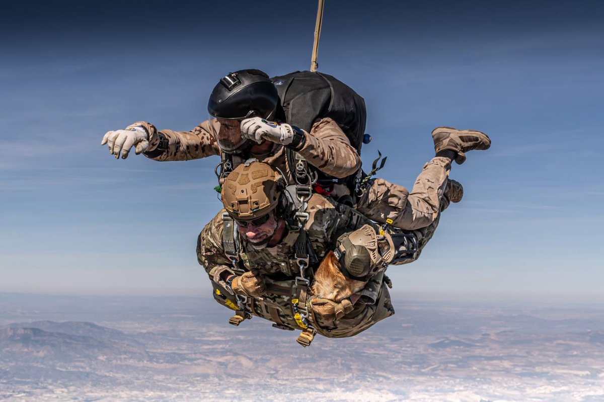 EjercitoTierra's tweet photo. 🌙 #BuenasNoches, hoy compartimos con vosotros algunas 📸 del LXX Curso de Operaciones Especiales. @MADOC_ET
✅ Los alumnos han completado el Curso Básico de Paracaidismo, en la Escuela Militar de Paracaidismo “Méndez Parada” @EMPmendezparada @EjercitoAire ,un paso fundamental dentro de una de las formaciones más exigentes.
✅ Mientras tanto, los profesores continúan perfeccionando sus capacidades con saltos en apertura manual y TANDEM-K9, demostrando que en el  #EjércitodeTierra la preparación es constante.
👉 Disciplina, esfuerzo y compañerismo para alcanzar la excelencia. #SomostuEjército 🇪🇸 
👉 ¿Te atreverías a dar este salto? 👇