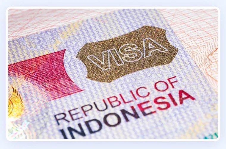 تركي الحربي tweet media