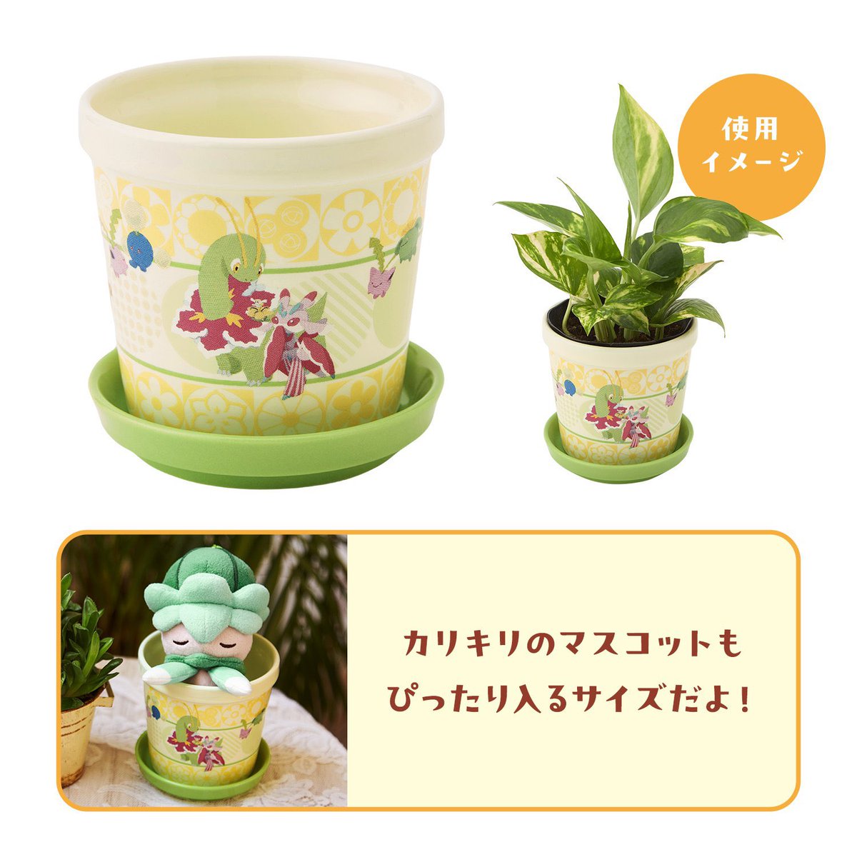 Pokéshopper.net tweet media