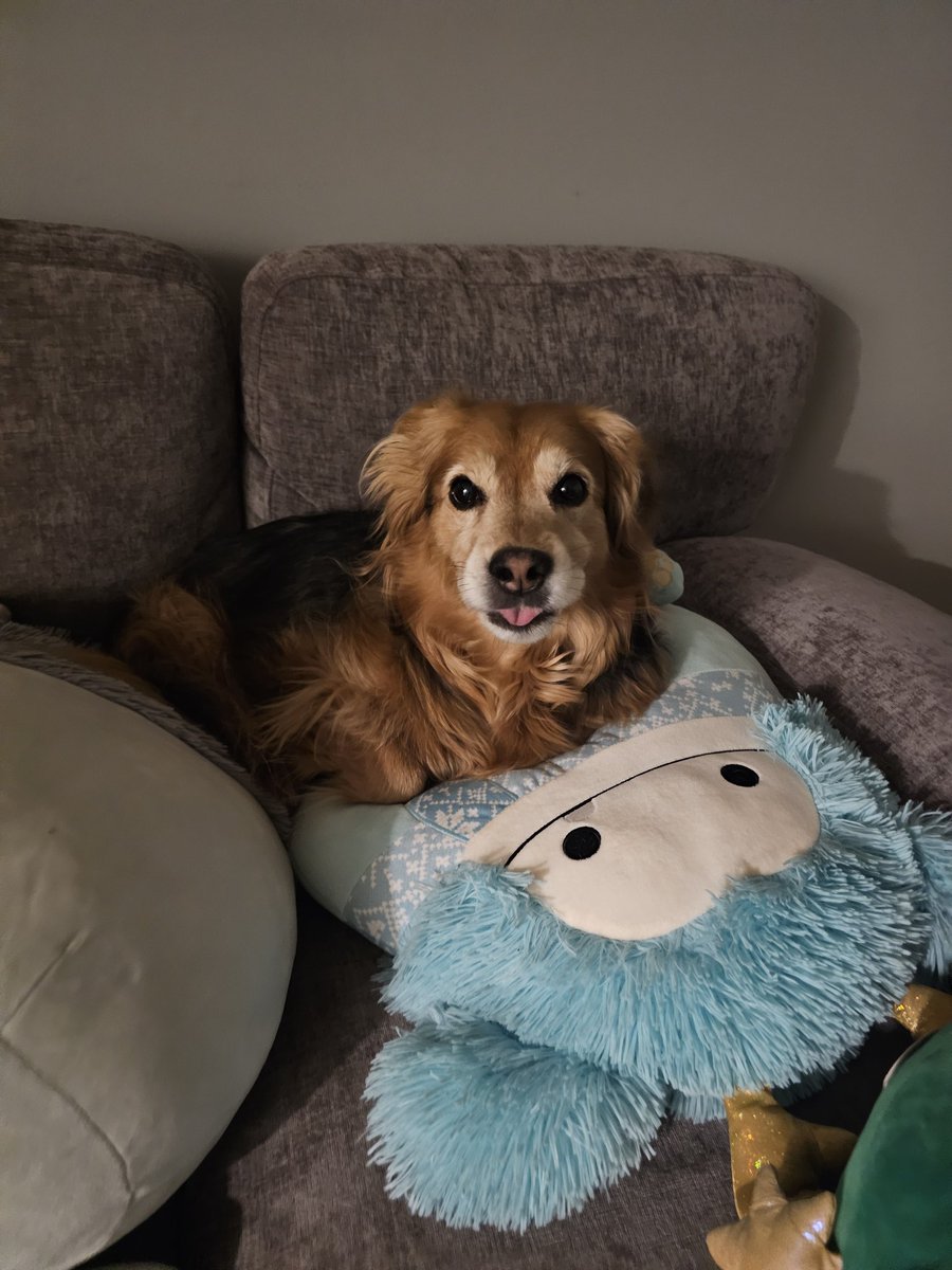 🍓 ᴍᴏʀɢʜᴀɴ (◍•ᴗ•◍)♡ ✧*。 tweet media