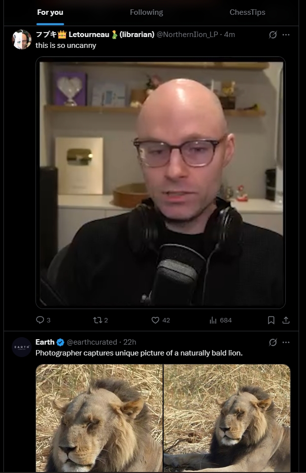 Zach Bonnell tweet media