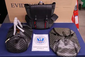 Eva Knott tweet media