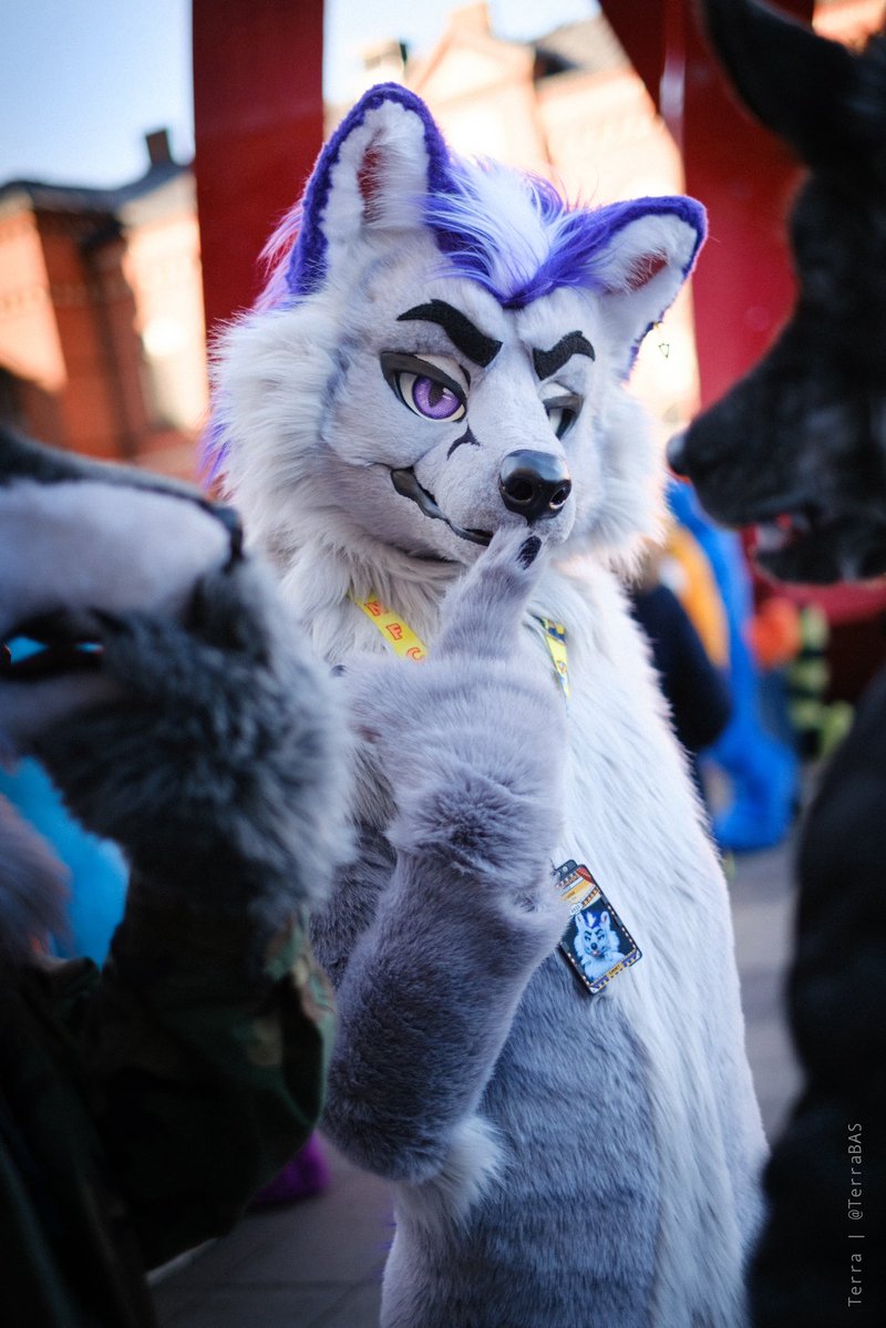 Kurama 🔜 LVFC tweet media