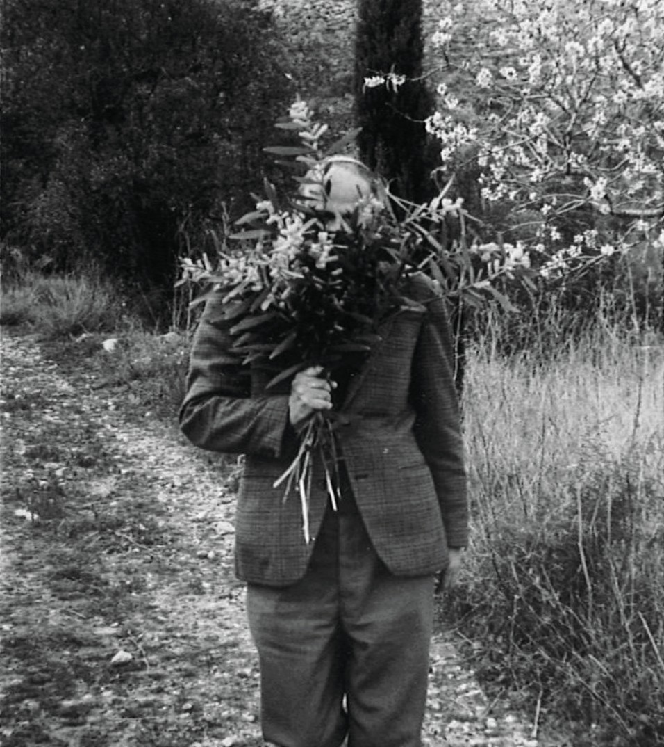 Edicions de 1984 tweet media