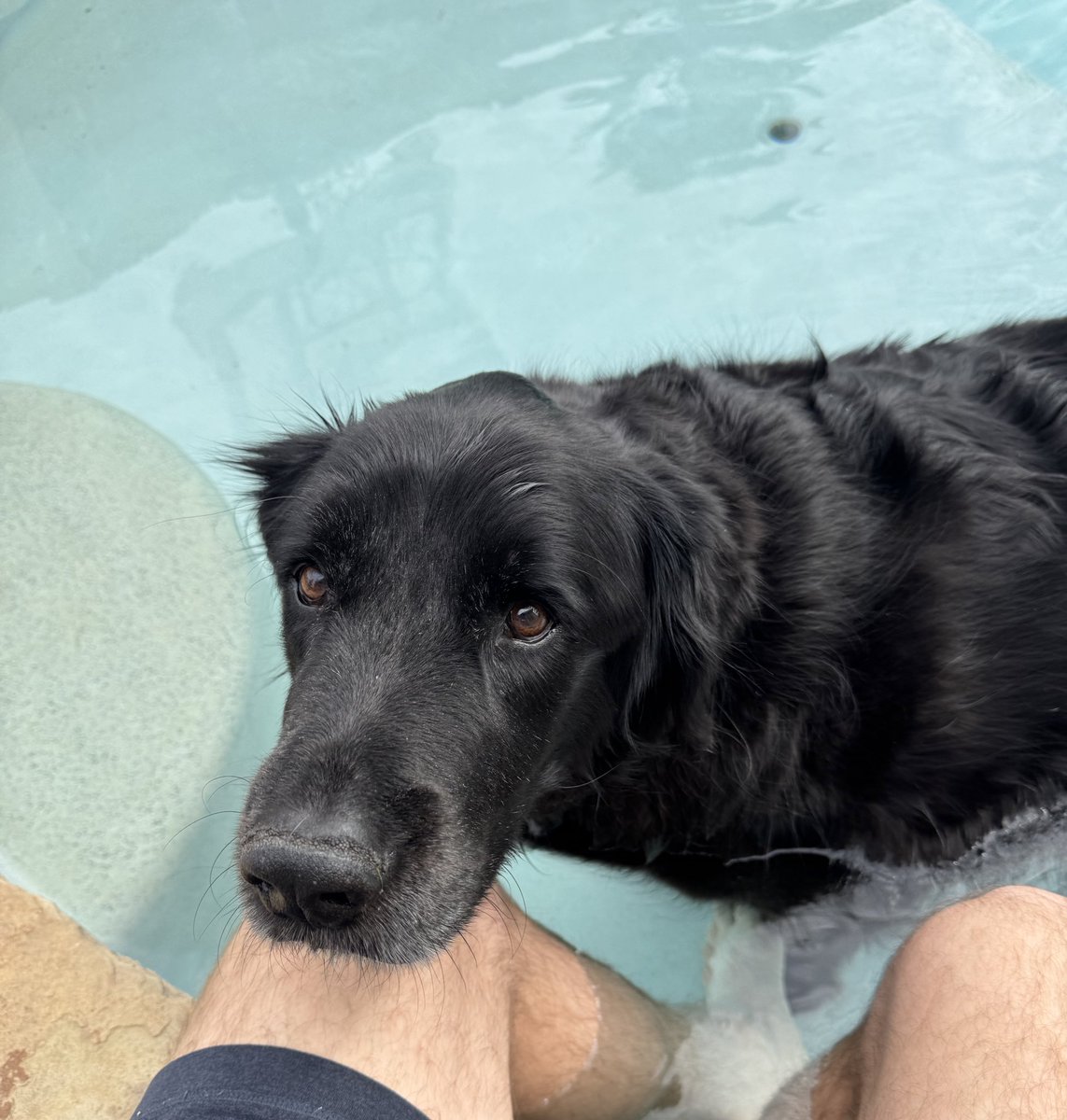 zbonecantswim's tweet photo. Bro cost me $1500 at the vet last night and he just wanted a boys day https://t.co/uUc9MavhJs