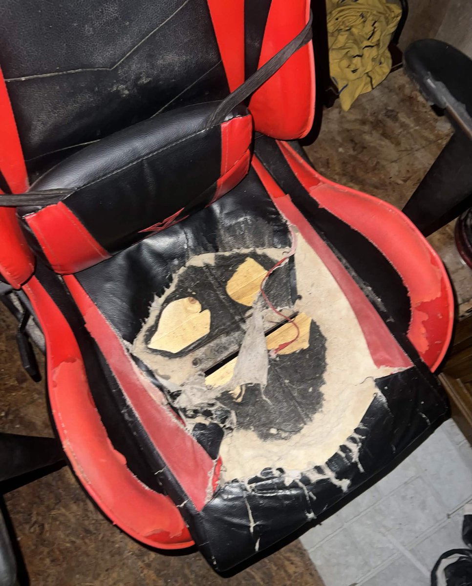 ThePrinceMimi Femboy Mimic(TBD) tweet media