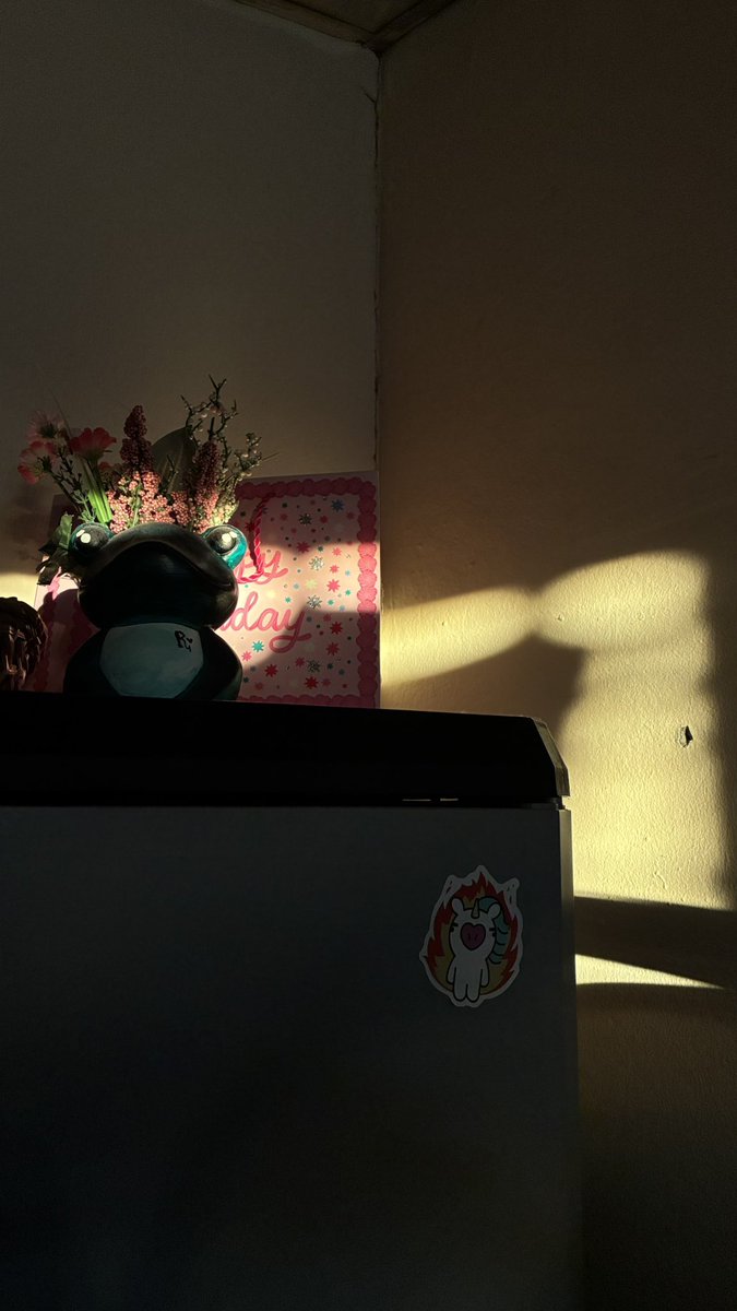 MrsGuzman_'s tweet photo. increíble cómo a una le entra un rayo de sol por la ventana y de repente toda la vida es hermosa https://t.co/2KmoEYfUQn