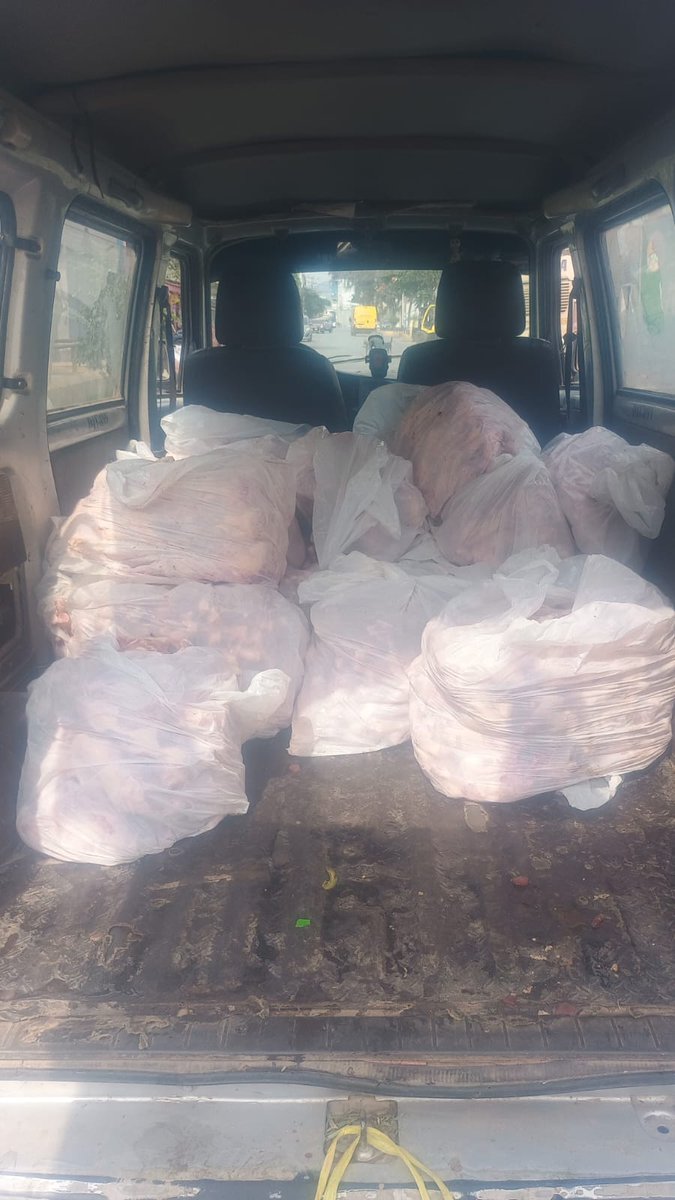 PATAS REFUGIO tweet media