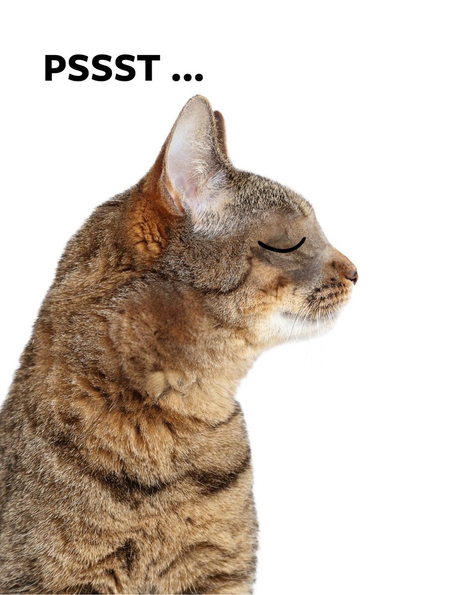 Themis Bar Review tweet media