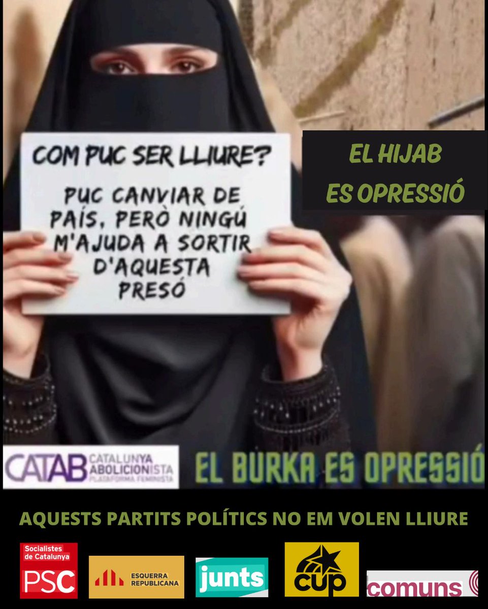Catalunya Abolicionista Plataforma Feminista tweet media