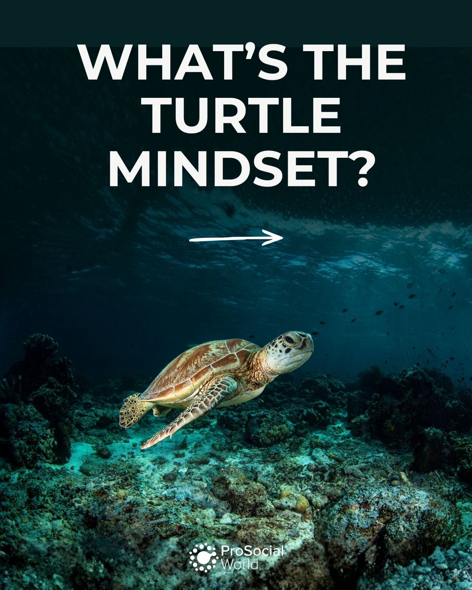 ProSocial World tweet media