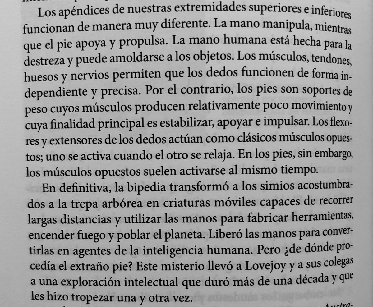 Alberto Magariño Montejano tweet media