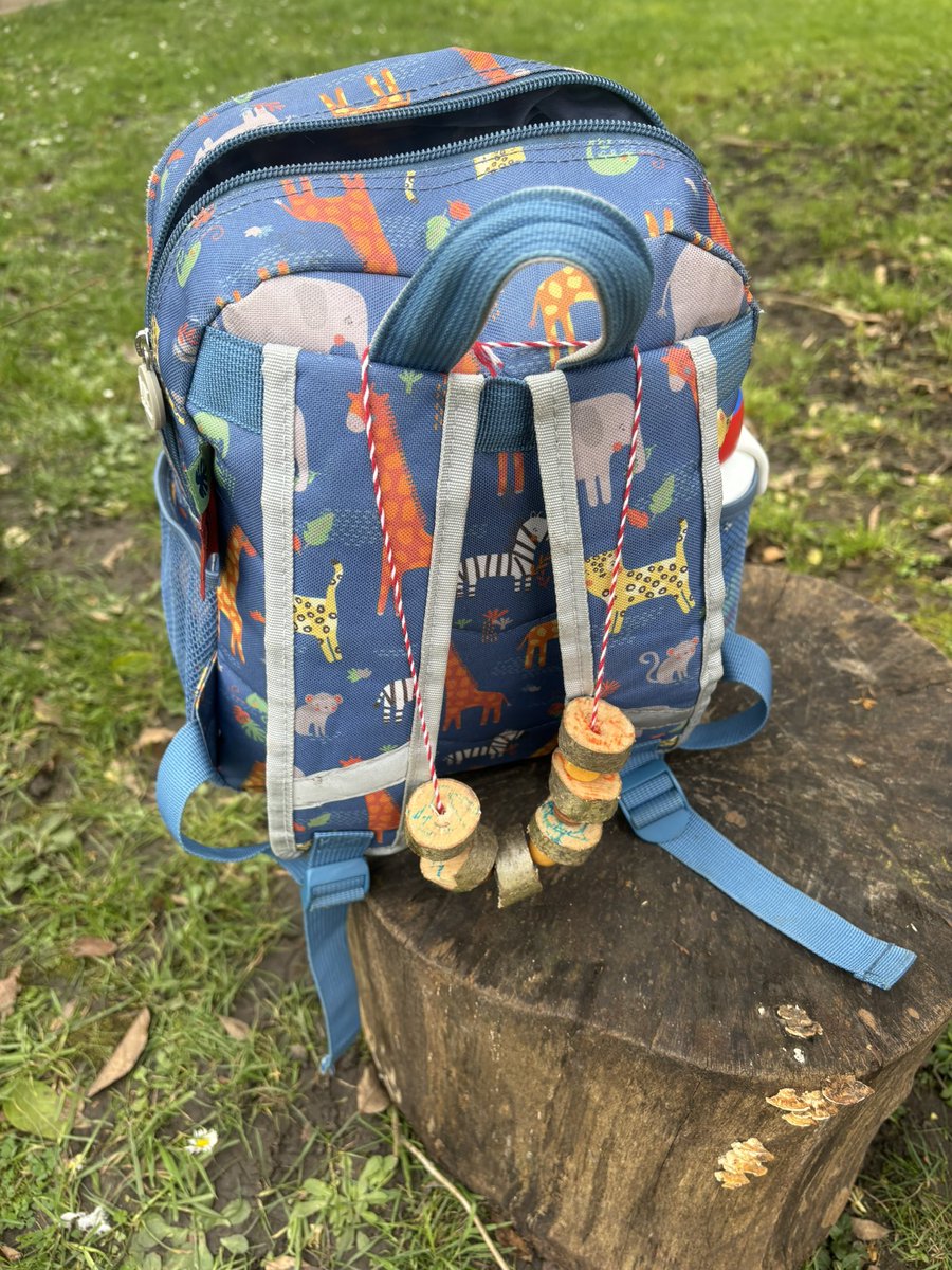 Forries Education tweet media