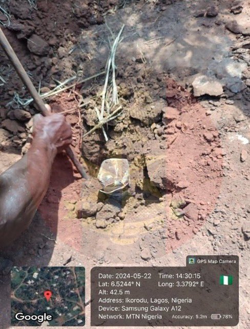 Harry Da Diegot tweet media