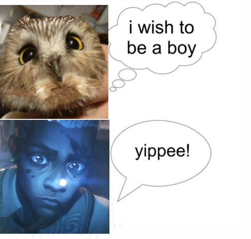 Mimi 🍀 tweet media