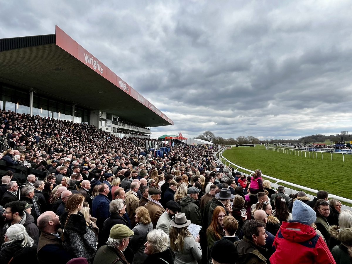 🐦Pigeon🐎Island🐦 tweet media