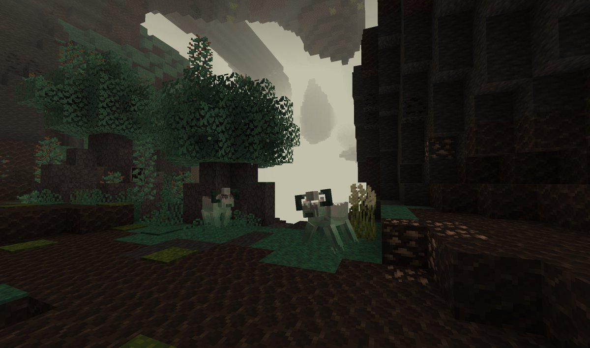 ~ Juniper tweet media