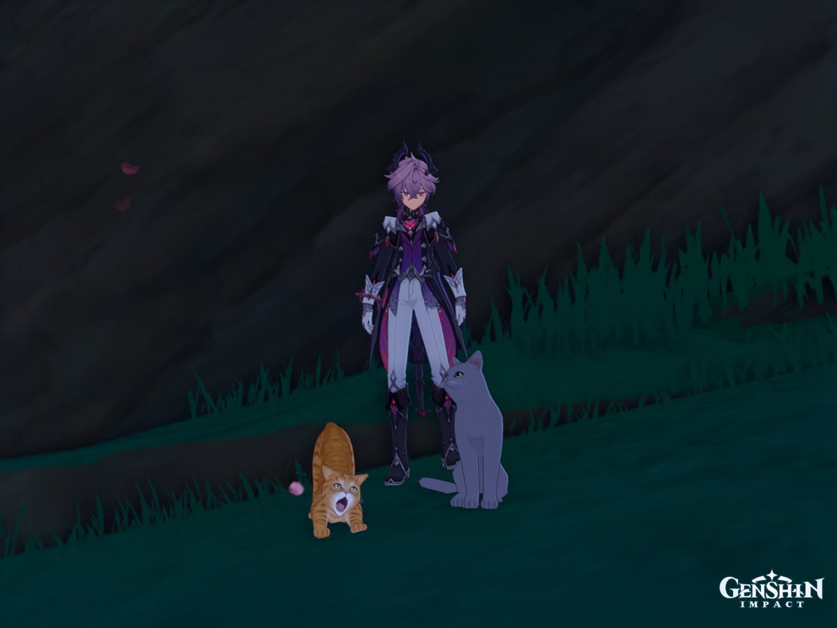 DailyDurin DURIN CEO tweet media