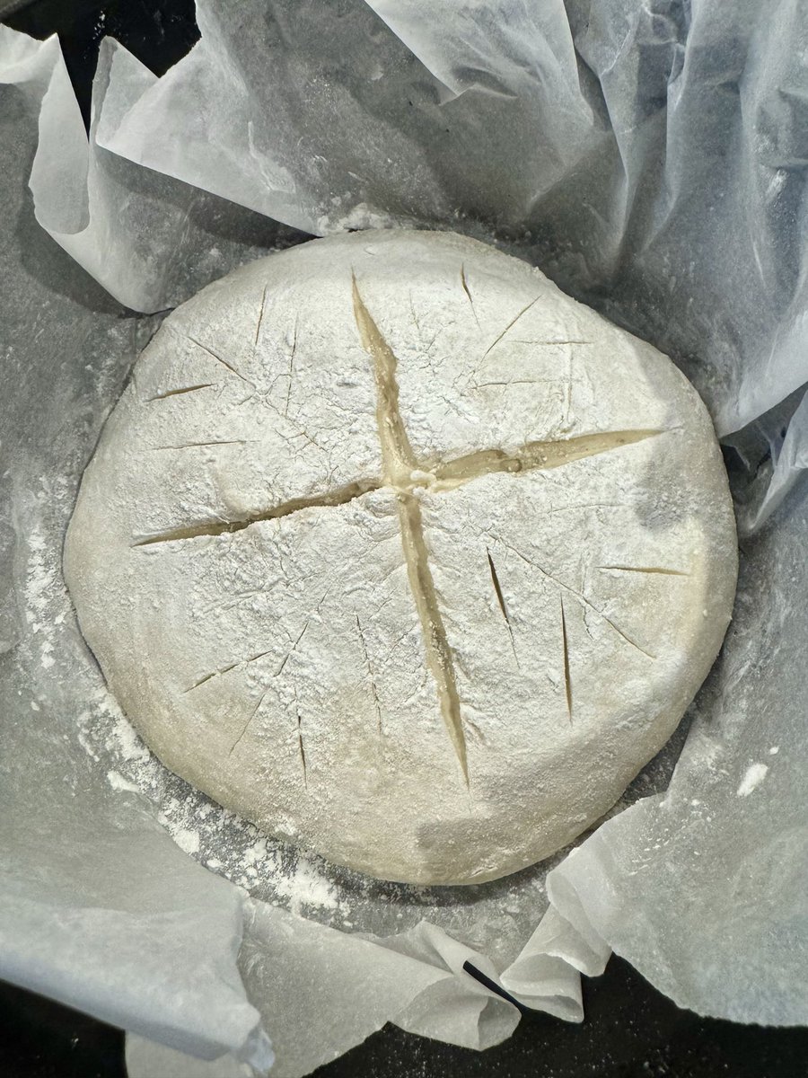 DianaADD tweet media