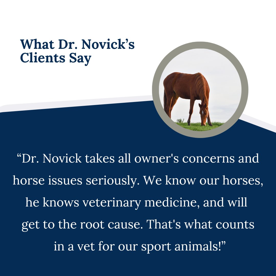 NovickDvm's tweet image. Thank you for sharing your experience, Marianne! #veterinarian #horses #horsecare #equinecare #equinevet