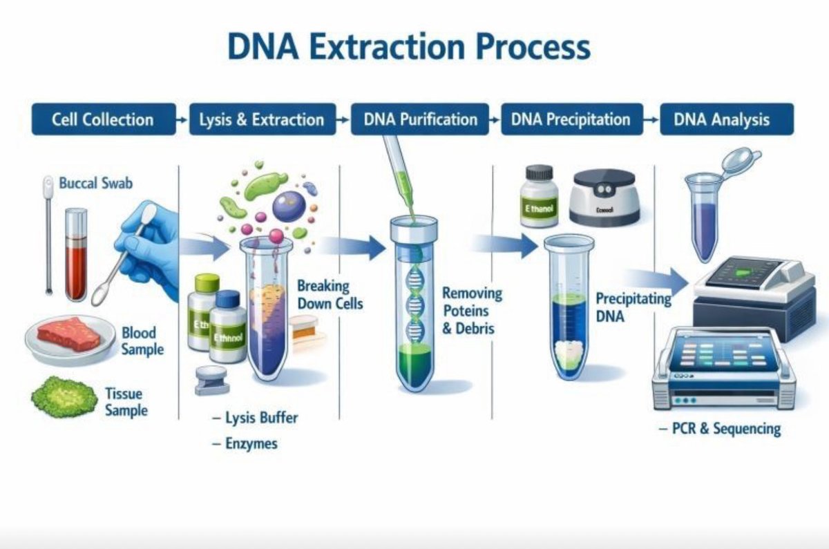 Abdullah al-sahle tweet media