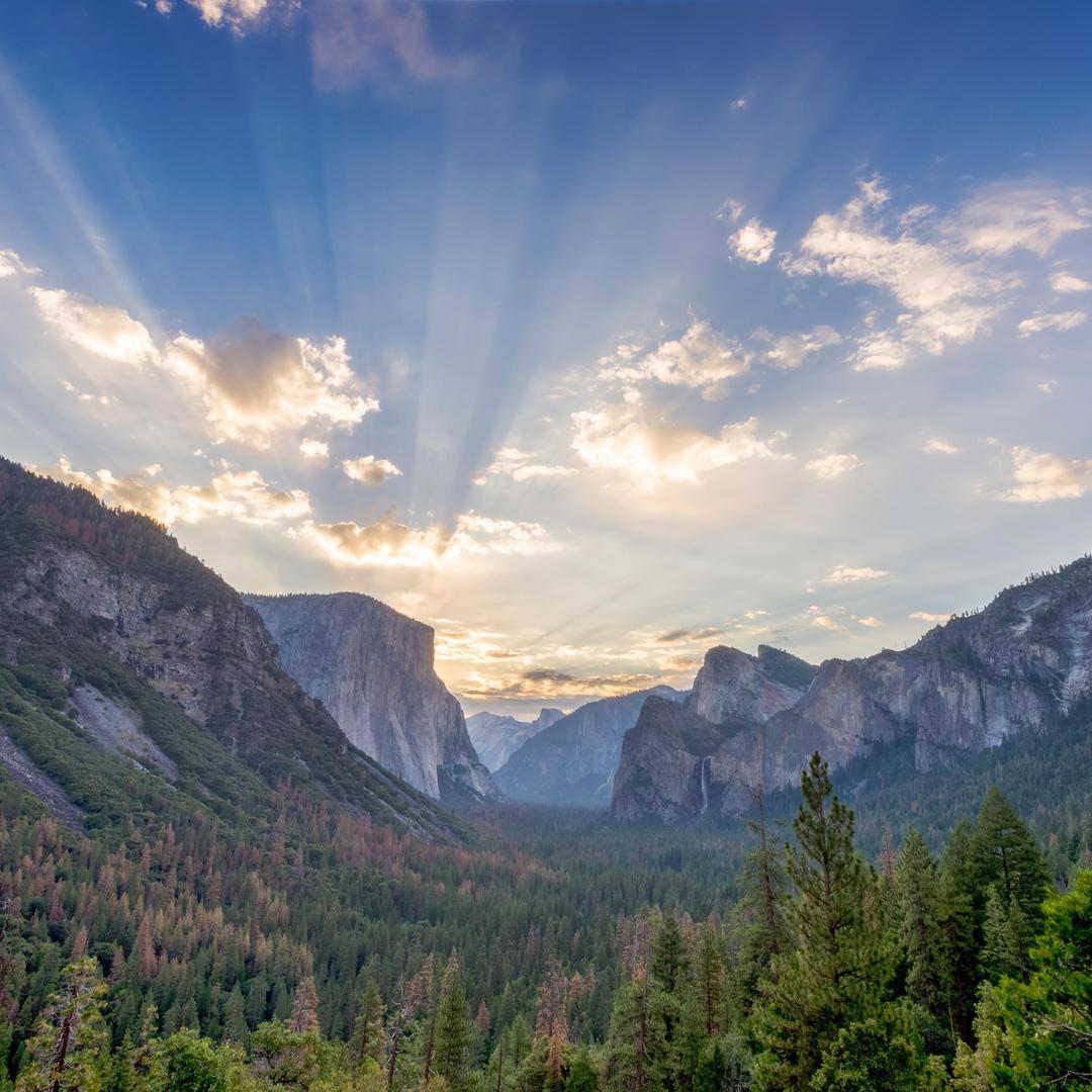 Yosemite Nation tweet media