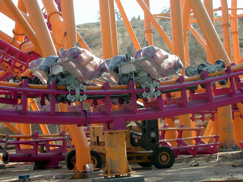 ElToroRyan tweet media